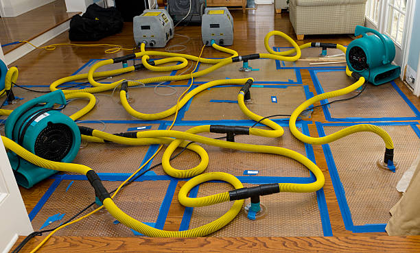 Professional Crawl Space Water Removal technician working in Coal Creek, CO